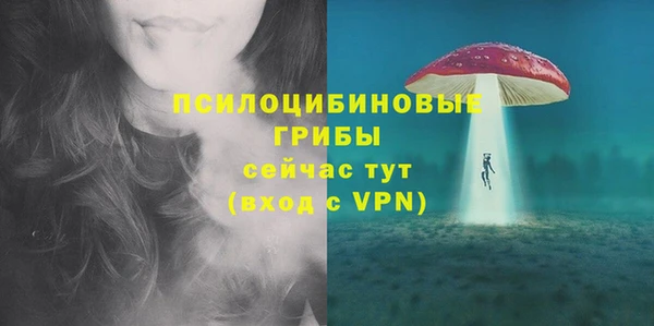 дурь Богородицк
