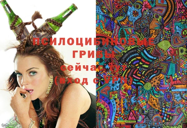 ешки Богородск